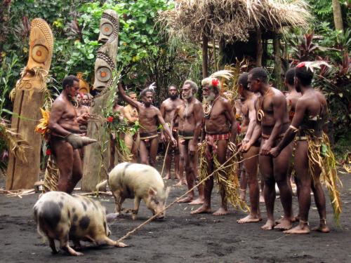 萬那杜的豬隻支付 Pig Payment in Vanuatu