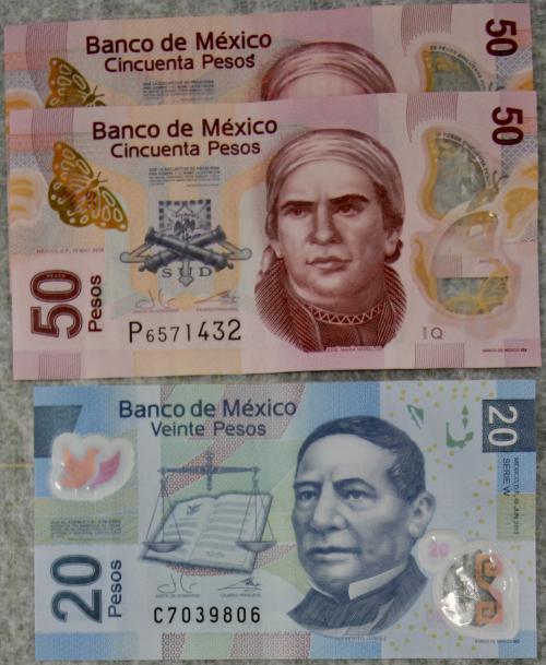 墨西哥披索 Mexican Peso